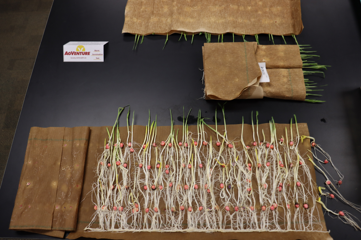 Seed testing display