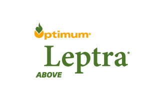 Optimum Leptra logo