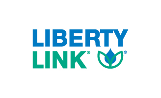 liberty link logo